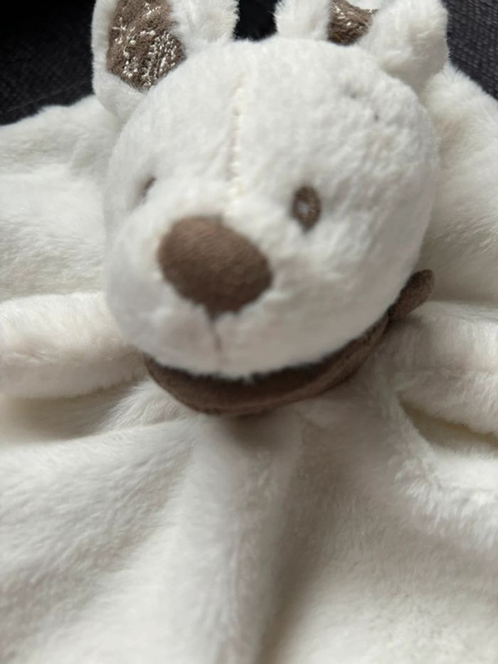 Doudou - photo numéro 5