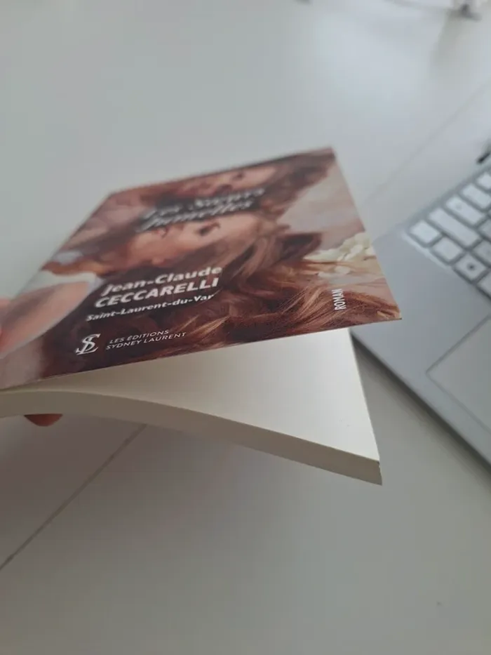 Livre les sœurs jumelles - photo numéro 3