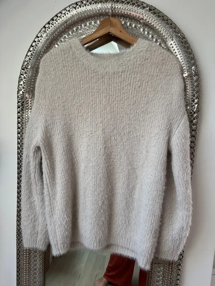 Pull à poils