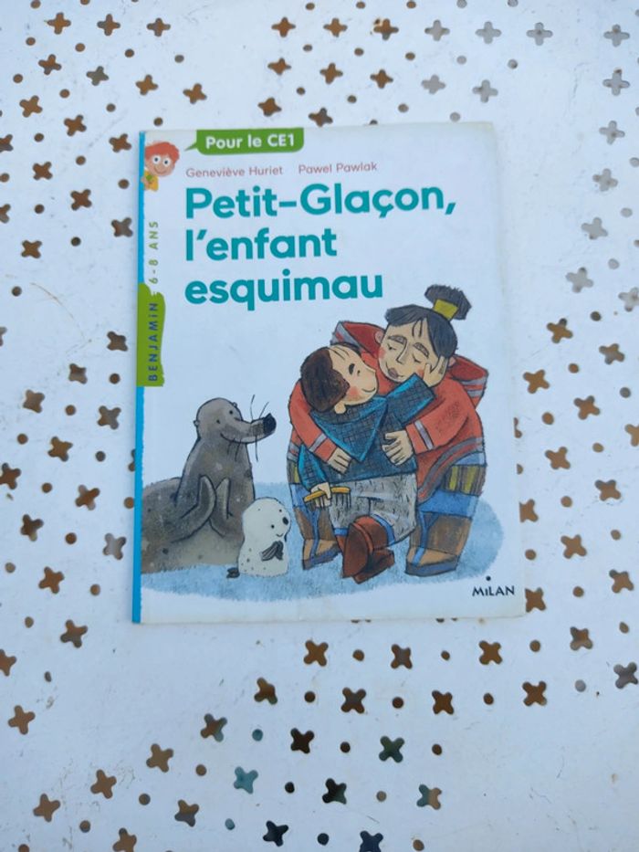 Livre petit glaçon