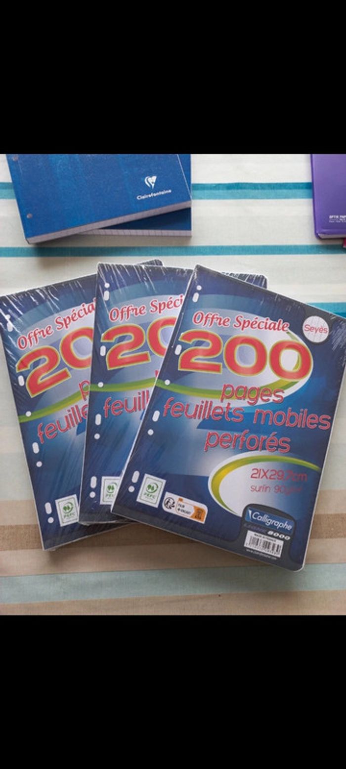 600 feuilles perforées pour classeur