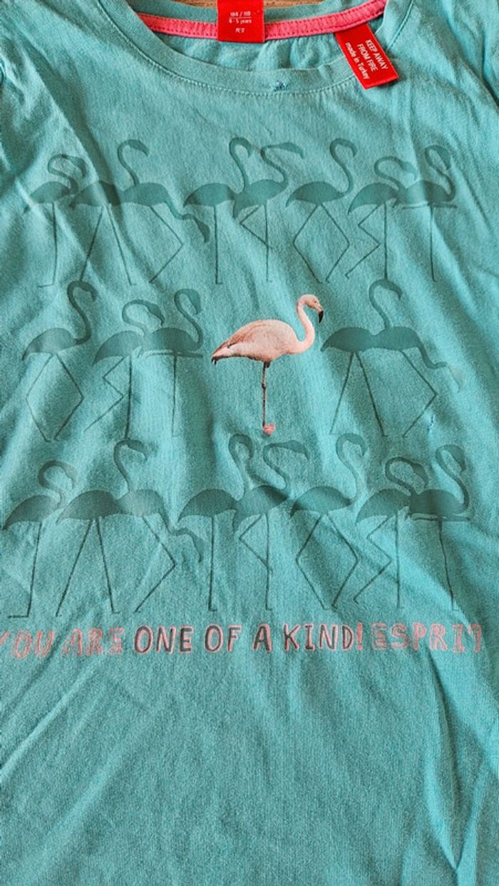 T shirt turquoise à manches courtes, flamand rose, Esprit, 4/5 ans - photo numéro 3