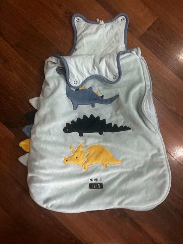 Gigoteuse, dinosaures