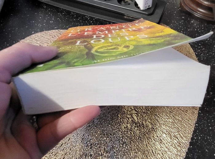 Livre l'empire des loups - photo numéro 4