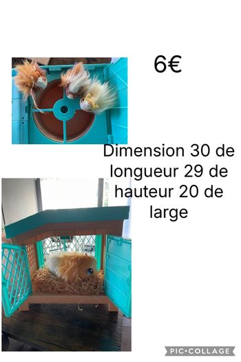 Maison et son hamster