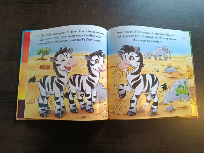 Livre LE FABULEUX VOYAGE DE ZAKI LE ZÈBRE - photo numéro 4