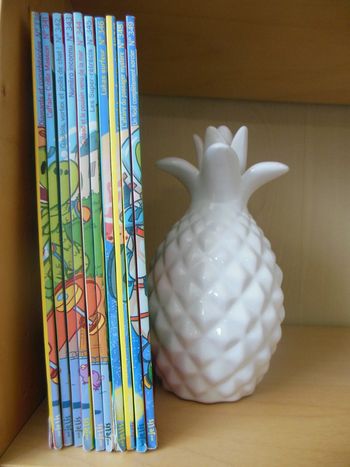 lot 10 magazines moi je lis 2016