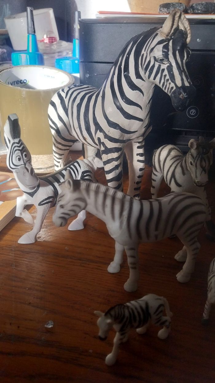 Lot zèbres - photo numéro 4