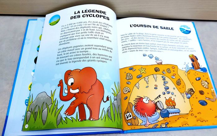 📚 Livre pédagogique : c'est fou ! (Thème animaux) - photo numéro 4