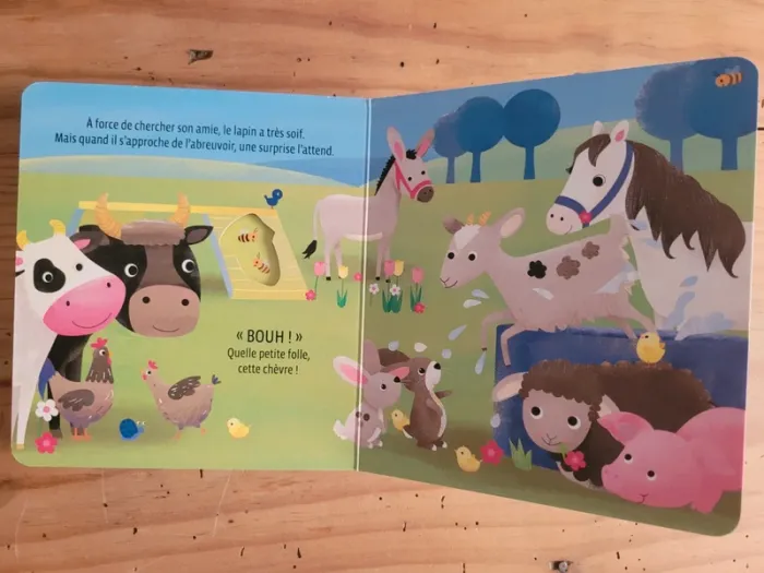 Livre Où es-tu petite chèvre ? - photo numéro 10