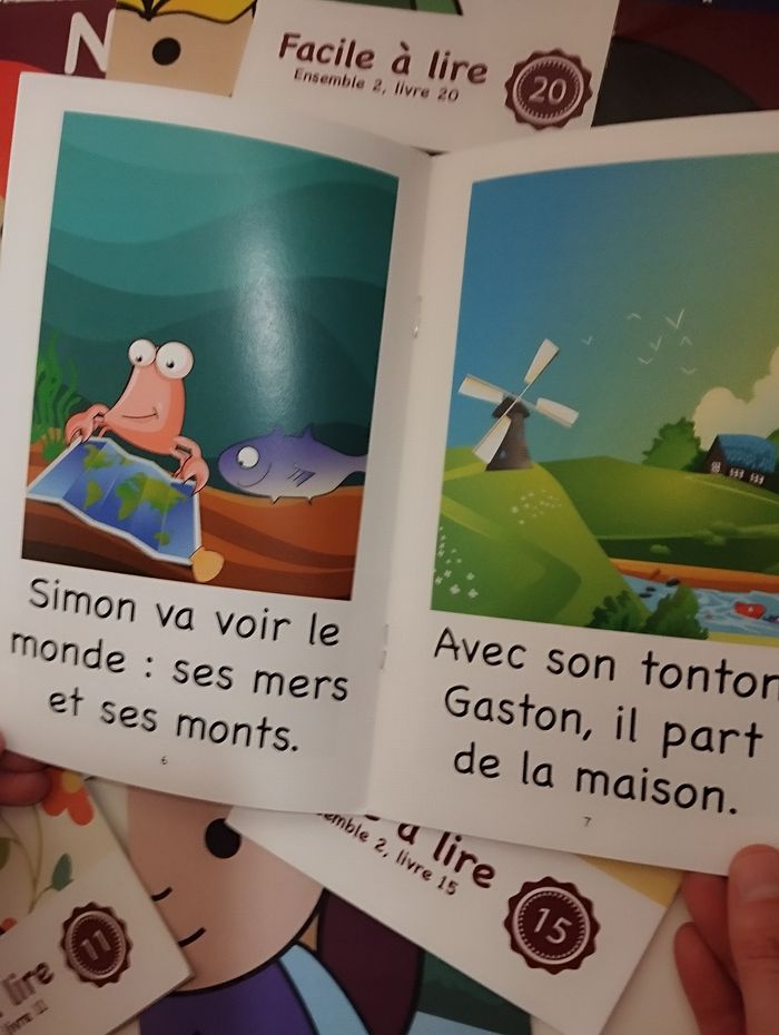Livre collection livre facile à lire - photo numéro 3