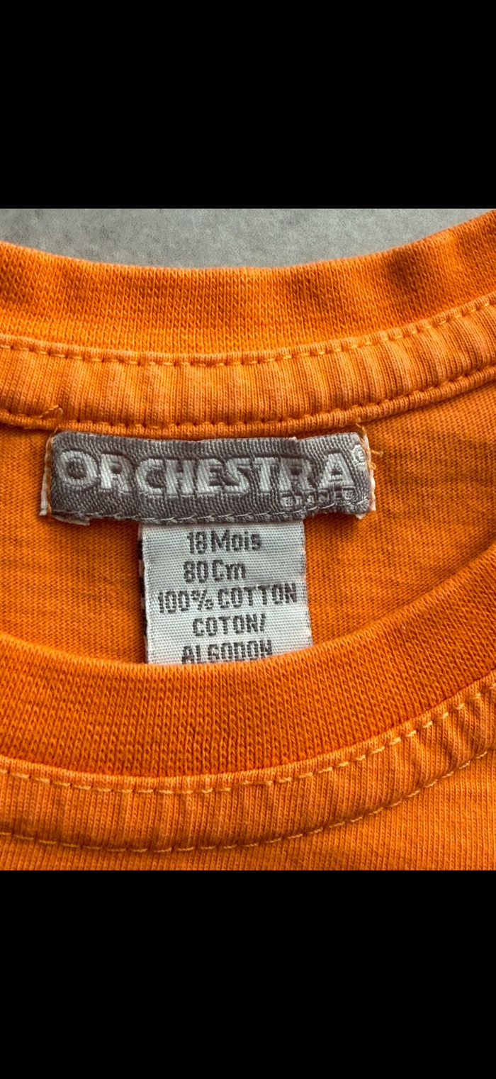 Tee shirt manches courtes 18 mois - photo numéro 3