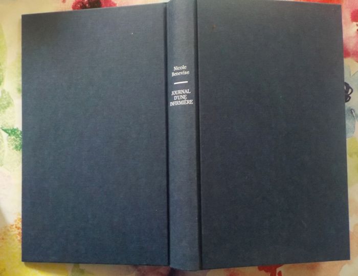 JOURNAL D'UNE INFIRMIERE  Ma part des autres par N. BENEVISE - photo numéro 2