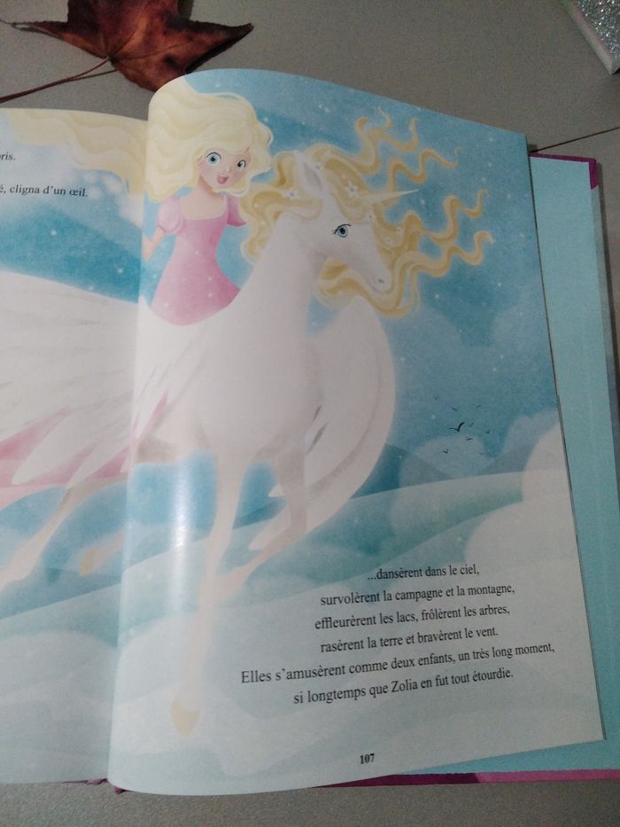 Superbe livre 🌹 - photo numéro 3