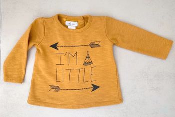 Sweat r baby la redoute 9 mois mixte