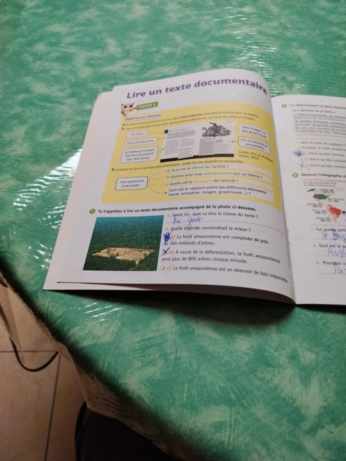 Mini chouette - photo numéro 5