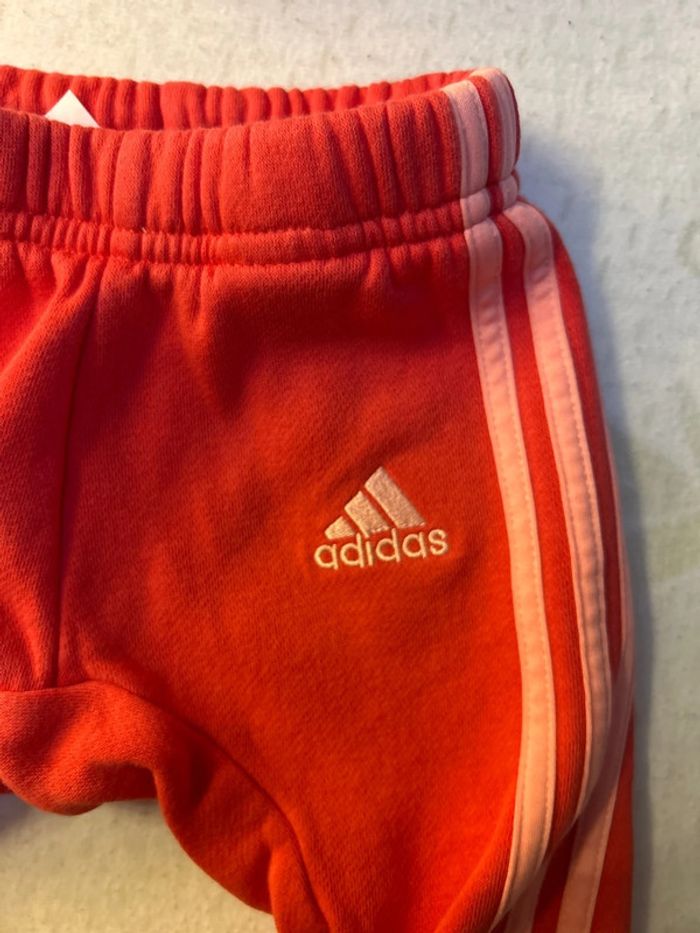 Joggings - photo numéro 4