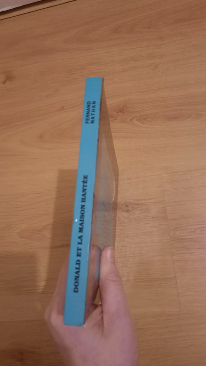 Donald et la maison hantée - photo numéro 11