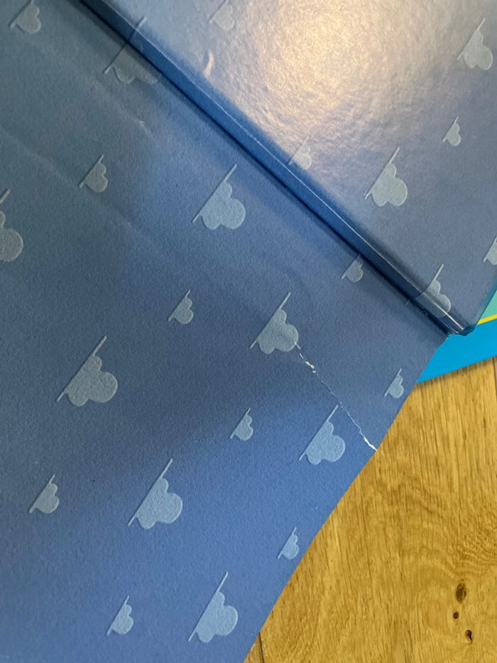 Lot livre disney - photo numéro 3