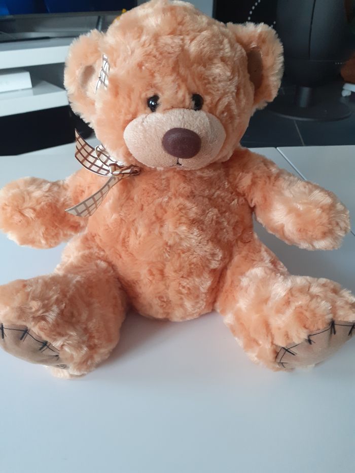 Ours en peluche