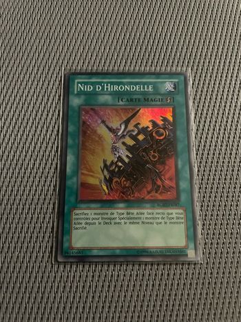 Carte Yu-Gi-Oh! Nid D’hirondelle RGBT-FR087 Super rare