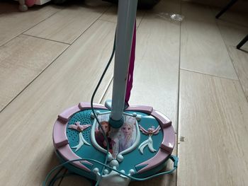 Micro reine des neiges 