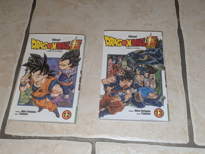 Livres dragon ball super 12 et 13