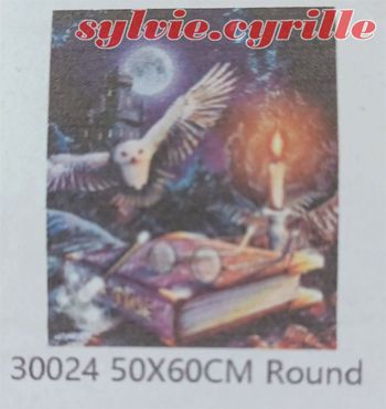 Diamond Painting 50x60 Harry Potter Grimoire Chouette rond