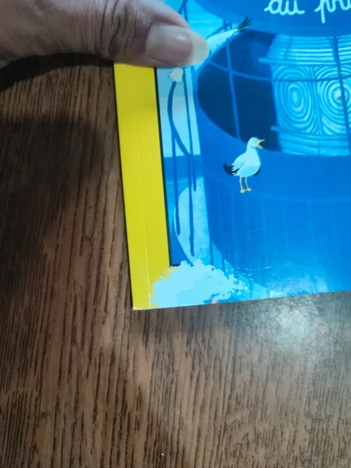 Livre la petite gardienne du phare - photo numéro 4