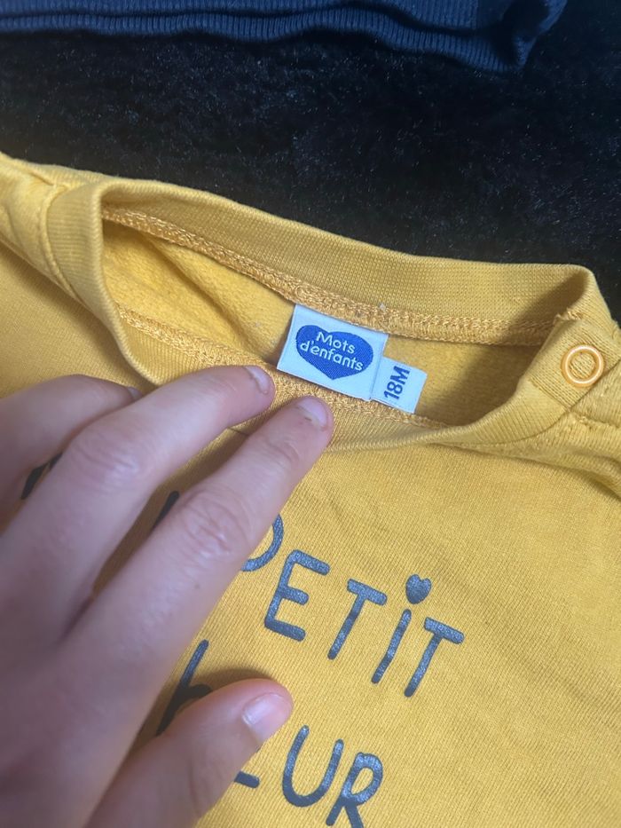 2 pulls - photo numéro 4