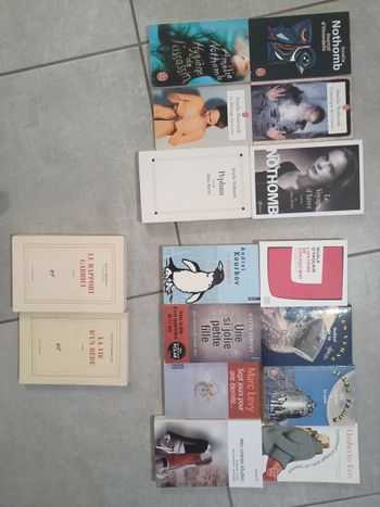 Romans en lot ou à l'unité à partir de 1,5€
