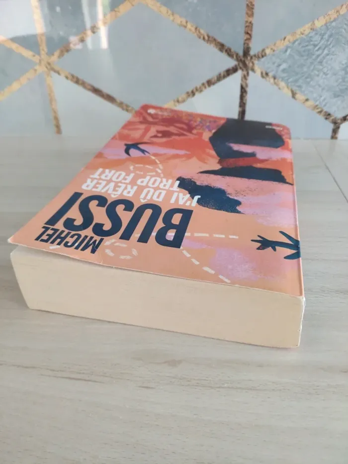 Livre grand format J'ai dû rêver trop fort Bussi - photo numéro 4