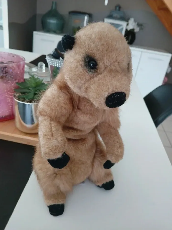 Péluche Suricate National Géographic🌿🎁