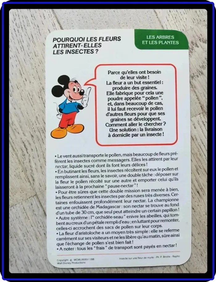 Fiches Mickey - photo numéro 3
