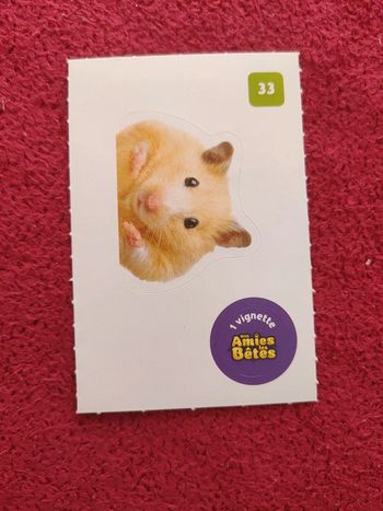 Carte nos amies les bêtes