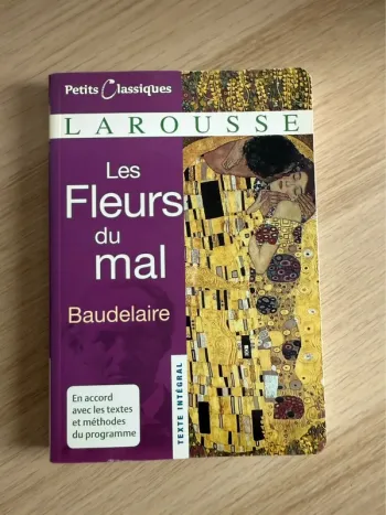 Les fleurs du mal Baudelaire