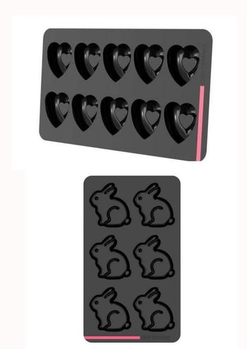 Lot de 2 moules Guy Demarle