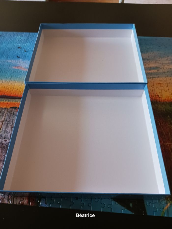 Pulzze 1000 pieces - photo numéro 8