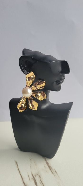 Boucles d'oreilles chic 