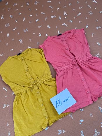 Lot 2 robes été 18 mois