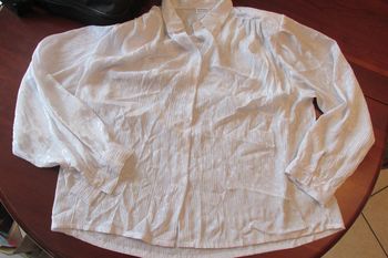 Très beau chemisier. Idée tenue de fête