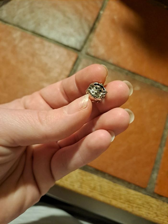 Accessoire - photo numéro 5