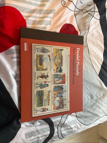 Nos histoires de France -Daniel Picouly