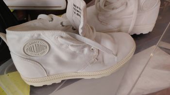 Chaussure femme paladium