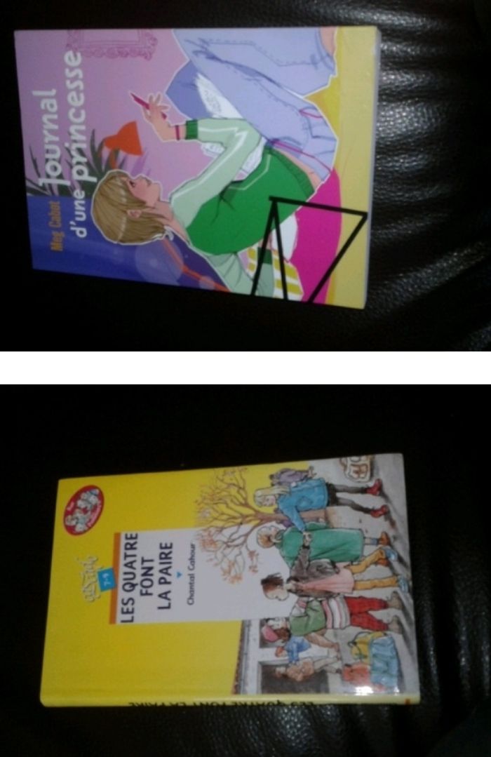 Journal d'une princesse les quatre font la paire