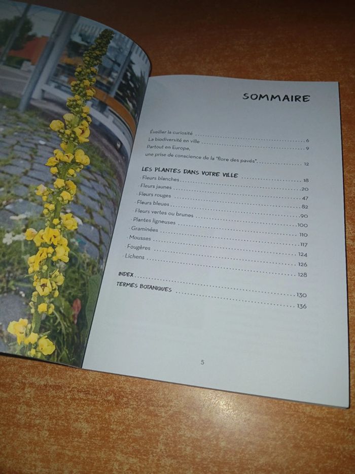 Qu'est-ce qui pousse dans ma rue? - photo numéro 5