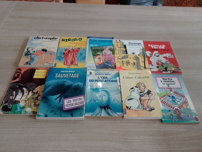 Lot de 10 livres de poches divers (18) - photo numéro 1