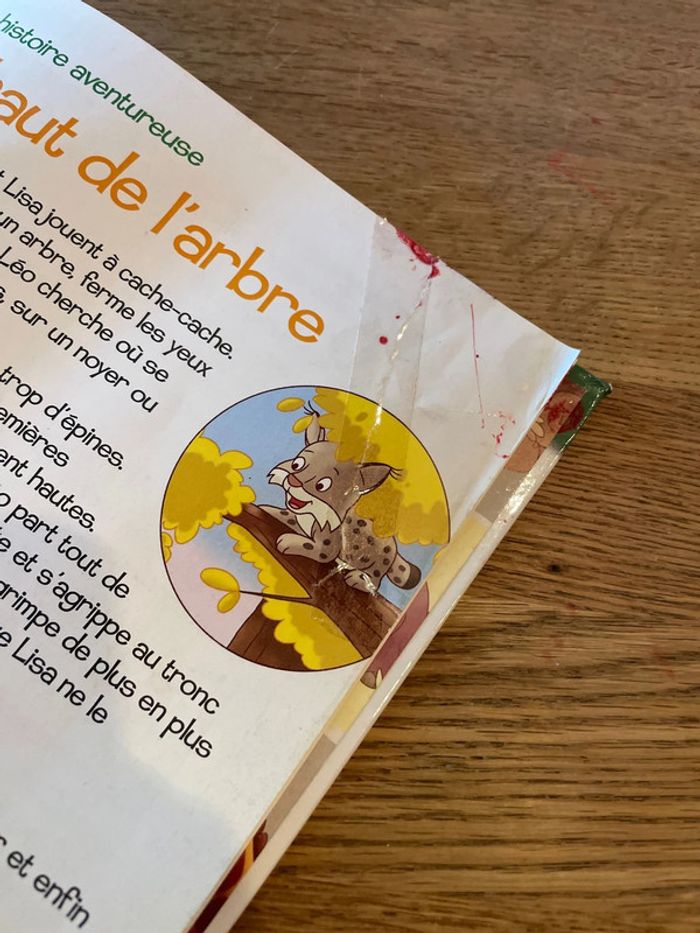 Livre Altaya Le monde des animaux Sauvages Animaux de la forêt Le Lynx - photo numéro 8