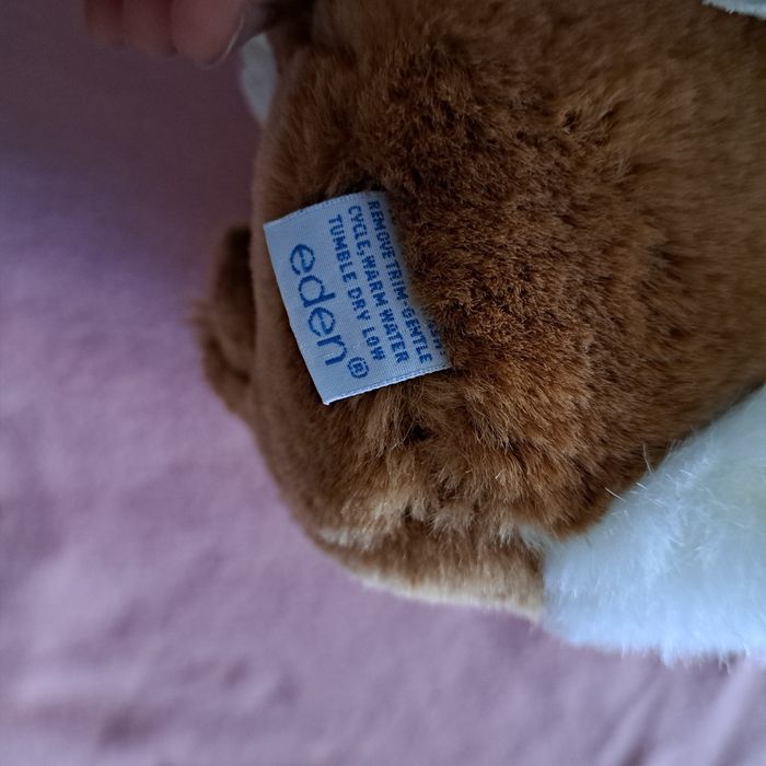 Mrs rabbit peter - photo numéro 9