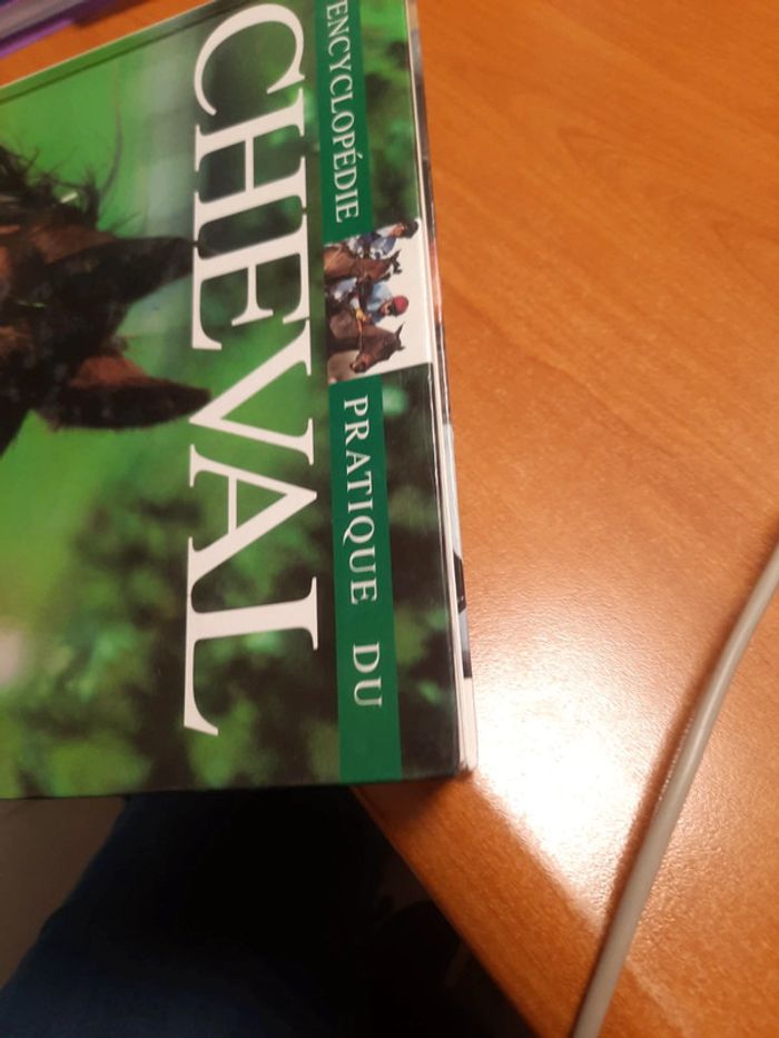 Cheval - photo numéro 5